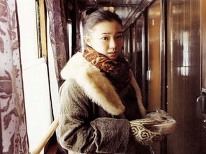 全国洗染服务纠纷解决办法