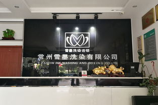 选择雪墨干洗加盟，开启洗烫服务新篇章