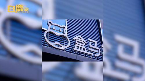 西安盒马经营范围拓展 新增摄像与洗染服务，构建一站式生活服务生态